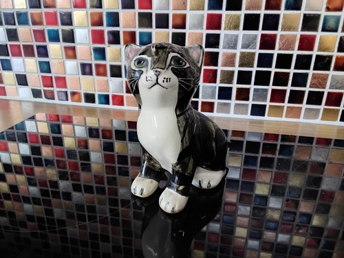 Seneshall cat - seneshall,