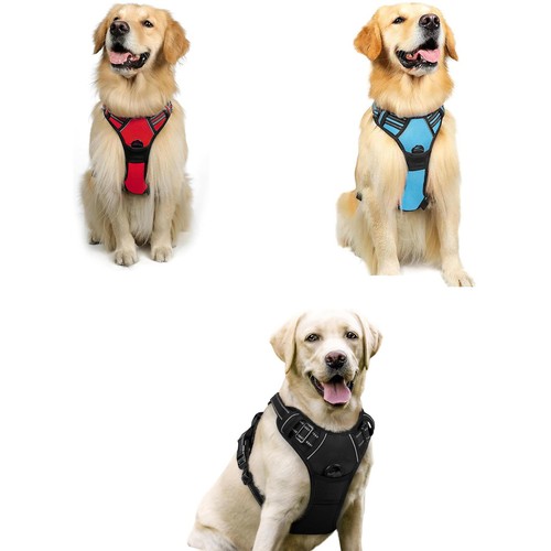 Pull dog harness - no,