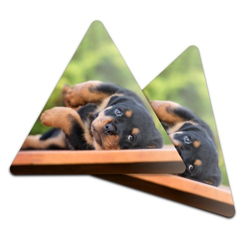 Triangle coaster - 2x,