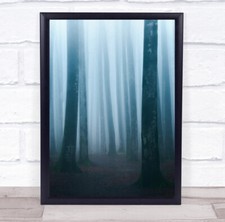 Landscape Landscapes Trees Tree Forest Woods Trunks Fog Mist Wall Art Print