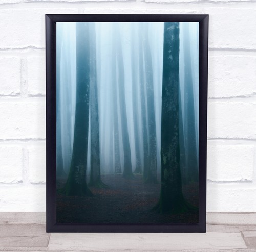 Landscape landscapes trees - landscape,