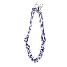 Rats Ferrets Sugar Gliders Pet