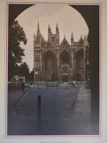 Peterborough cathedral vintage - cathedral,