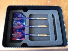 Target Darts Raymond van