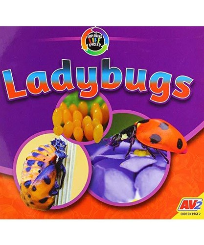 Ladybugs aaron carr - aaron,