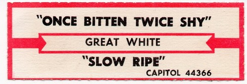 Great white once bitten - -,