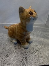 Winstanley Ginger Cat Sitting