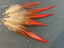 5pcs 5-8cm Natural Red Tip