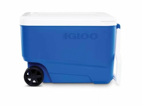 Igloo camping litres - 36,