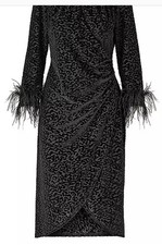 Feather Trim Devore Dress