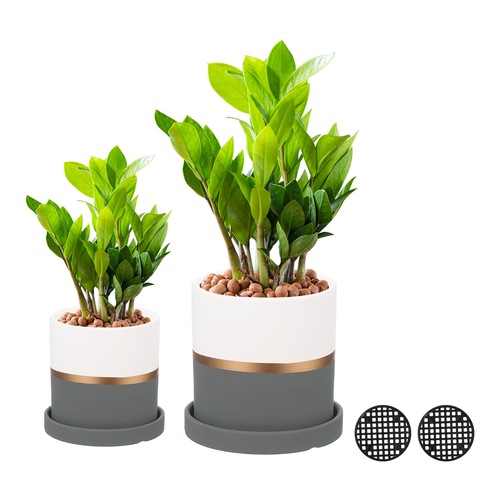 2pcs ceramic plant pots - ceramic,