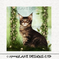Cat - Maine Coon Kitten - Fabric Craft Panels in 100% Cotton or Polyester