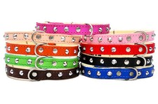 Real SOFT LEATHER STUDDED DOG