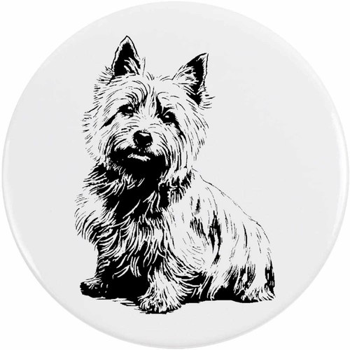 Norwich terrier portrait - 'norwich, portrait'