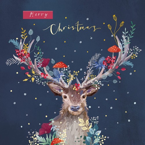 Charity christmas cards pack - -,