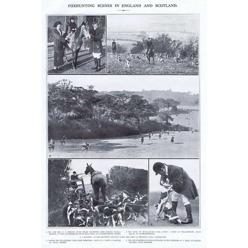 Fox hunting scenes - fox, in