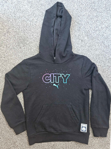 Puma manchester city hoodie - puma,
