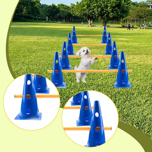 Dog agility hurdle cone - agility, set