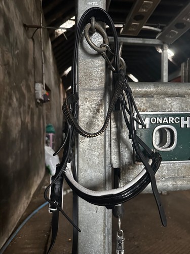 Black pony dressage bridle - pony,