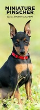 Miniature Pinscher Dog 2026