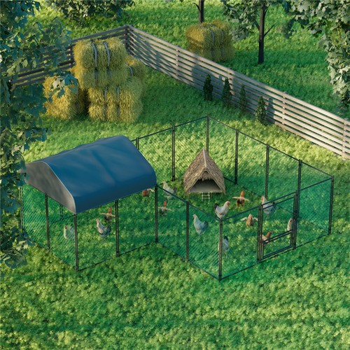 Chicken run cage coop dog - chicken,