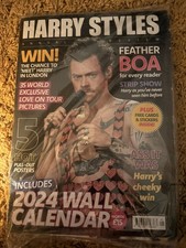Harry Styles Annual Review
