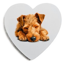 Welsh Terrier Fridge Magnet