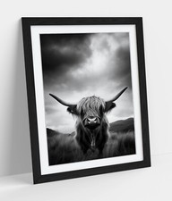 COOL BLACK AND WHITE HIGHLAND COW FRAMED WALL ART PICTURE POSTER PRINT