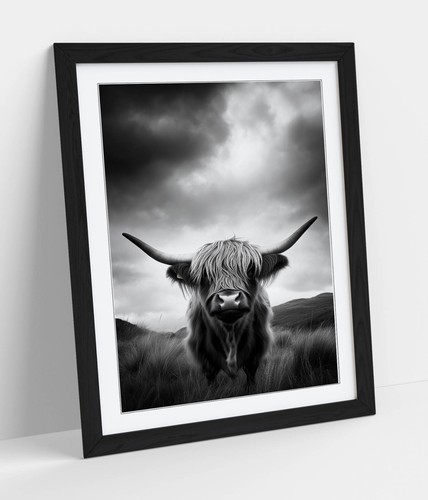 Cool black and - white, highland