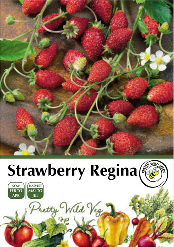 Vegetable seeds pictorial - vegetable,