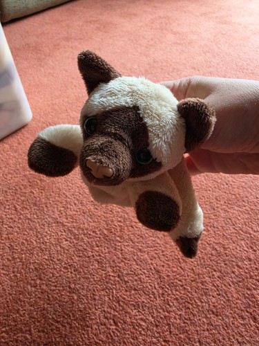 Small siamese cat plush - siamese,
