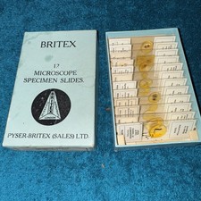 Vintage Microscope Slide Box And Slides BRITEX 12 slides insect parts set 111 