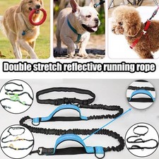 Hands Free Dog Lead - Waist