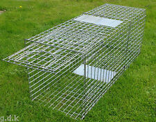 44” ,LARGE FOLDING FOX TRAP,HUMANE TRAP, 44" INCH, GALVANISED, DOG, GDK