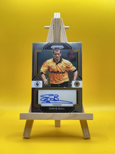 Steve bull panini - bull, soccer