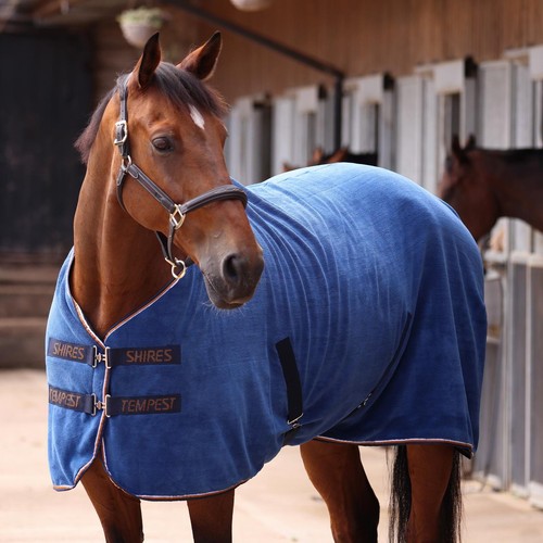 Shires tempest original - tempest, ultra