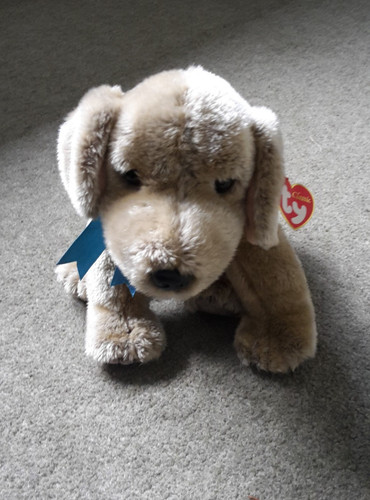 Soft toy puppy single - toy,, puppy.