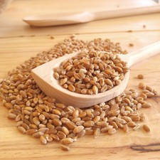 Organic raw whole wheat - organic,