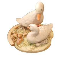 Rare Teviotdale Geese