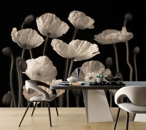 White poppy flower b705 - 3d,