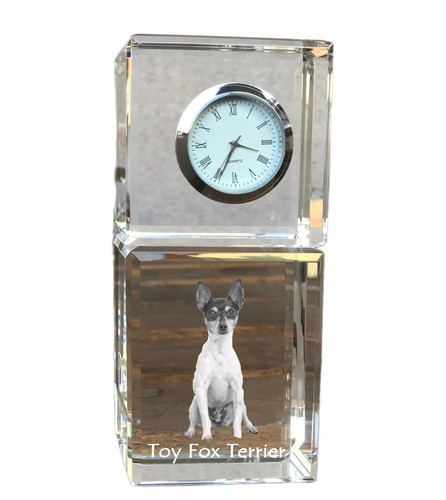 Toy fox terrier american - toy, terrier,