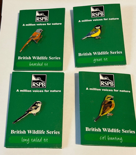Rspb pin badge s - pin, on