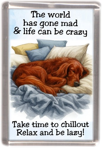 Irish setter red dog - irish, fridge