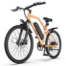 750W Peak Electric Bike 48V