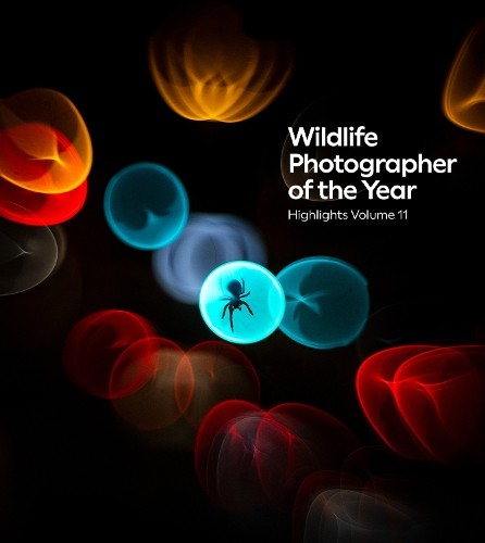 Wildlife photographer the - of,