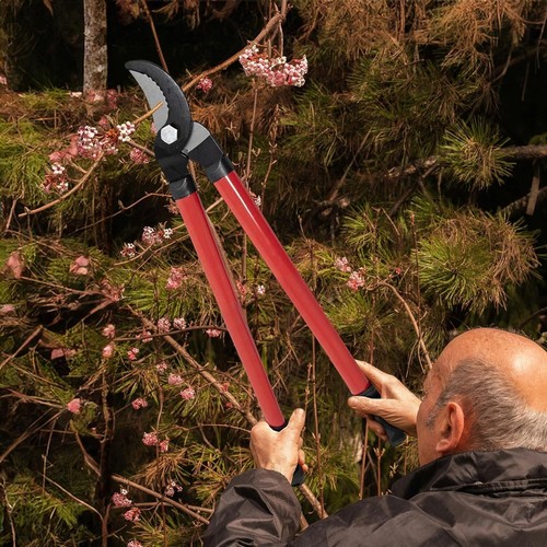 Long handle lopper extend - 24",