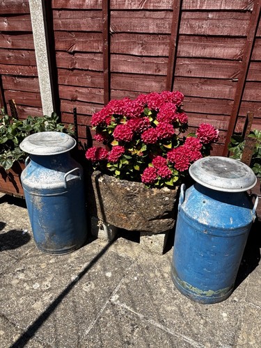 Pair vintage milk urns hand - pair,