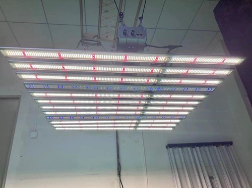 Hydroponics 1000 watt led - hydroponics,