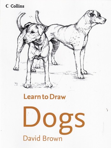 Learn draw dogs david - learn,