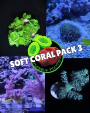 Soft coral pack 3, 4 frags!  -